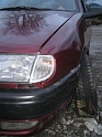 bild (10)